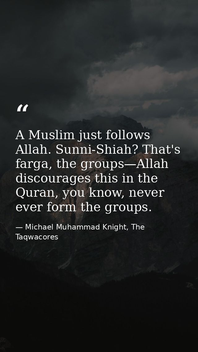 A Muslim just follows Allah. Sunni-Shiah? That's farga, the groups—Allah discourages this in the Quran, you know, never  — Michael Muhammad Knight, The Taqwacores
