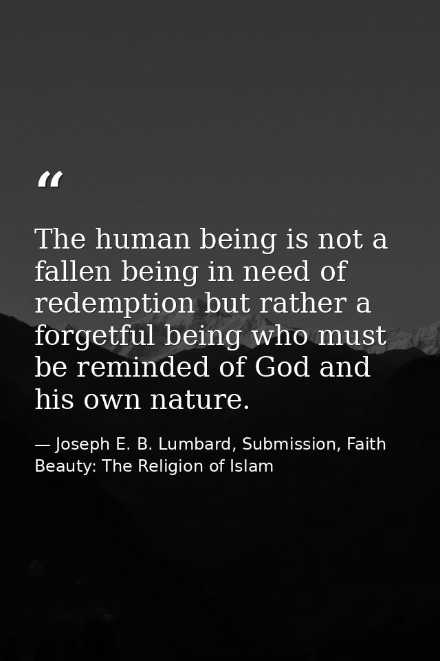 The human being is not a fallen being in need of redemption but rather a forgetful being who must be reminded of God and — Joseph E. B. Lumbard, Submission, Faith  Beauty: The Religion of Islam