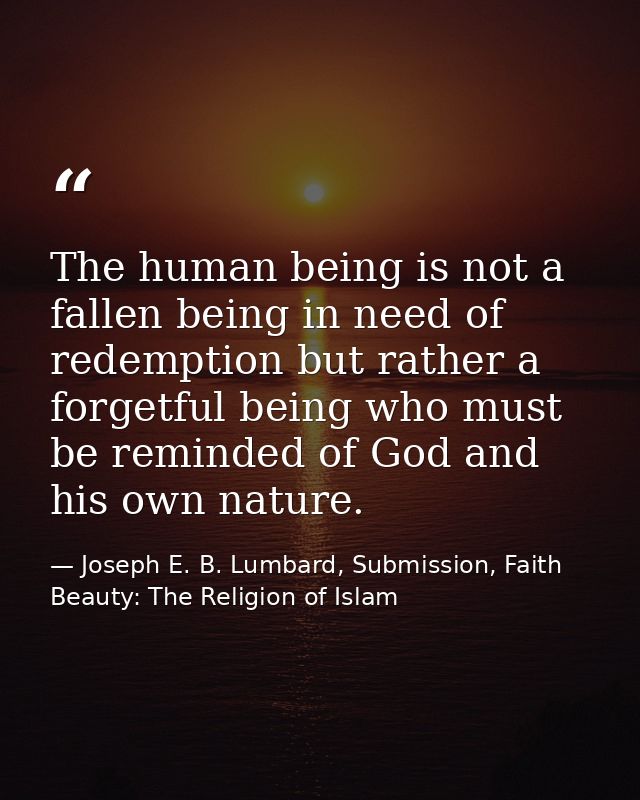 The human being is not a fallen being in need of redemption but rather a forgetful being who must be reminded of God and — Joseph E. B. Lumbard, Submission, Faith  Beauty: The Religion of Islam