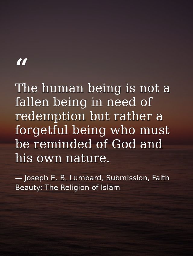 The human being is not a fallen being in need of redemption but rather a forgetful being who must be reminded of God and — Joseph E. B. Lumbard, Submission, Faith  Beauty: The Religion of Islam