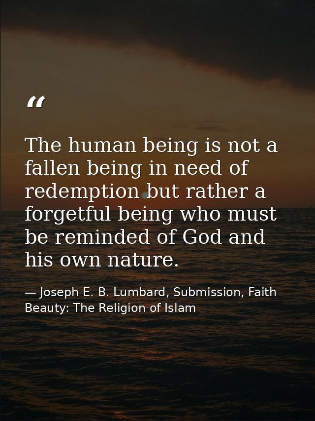 The human being is not a fallen being in need of redemption but rather a forgetful being who must be reminded of God and — Joseph E. B. Lumbard, Submission, Faith  Beauty: The Religion of Islam