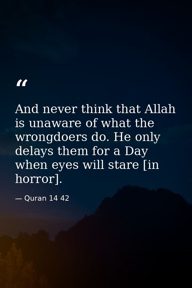 And never think that Allah is unaware of what the wrongdoers do. He only delays them for a Day when eyes will stare [in  — Quran 14 42