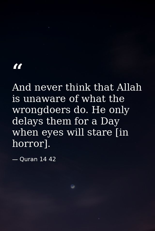 And never think that Allah is unaware of what the wrongdoers do. He only delays them for a Day when eyes will stare [in  — Quran 14 42