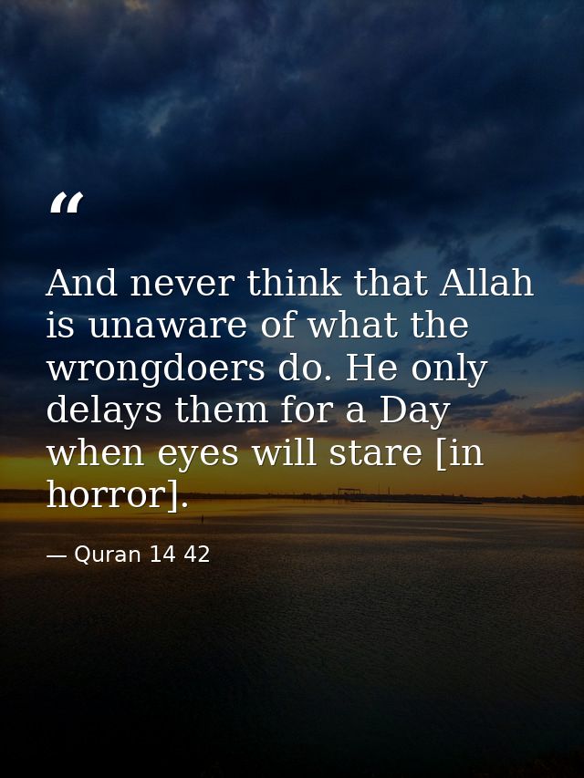 And never think that Allah is unaware of what the wrongdoers do. He only delays them for a Day when eyes will stare [in  — Quran 14 42