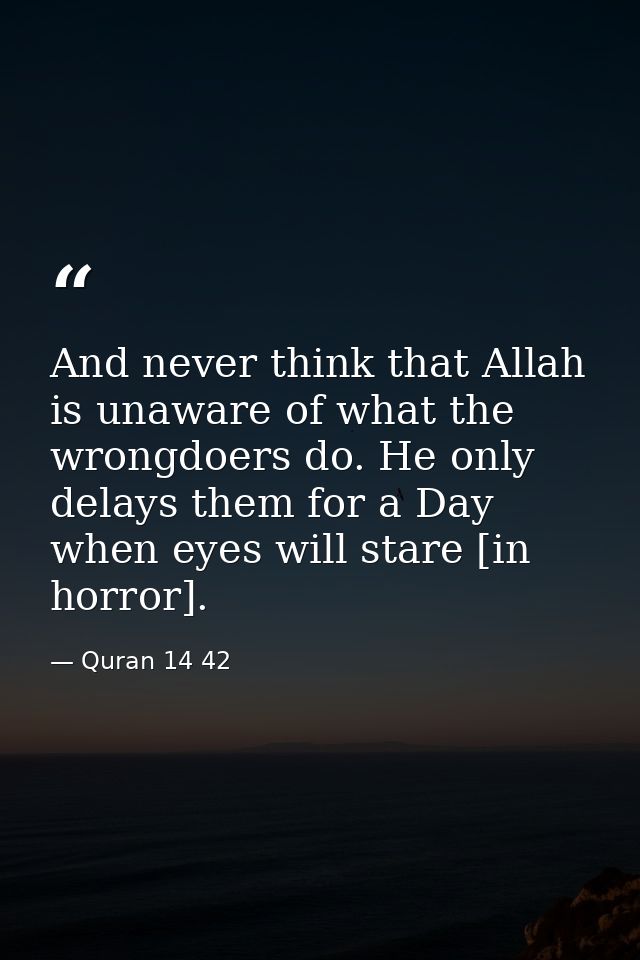 And never think that Allah is unaware of what the wrongdoers do. He only delays them for a Day when eyes will stare [in  — Quran 14 42