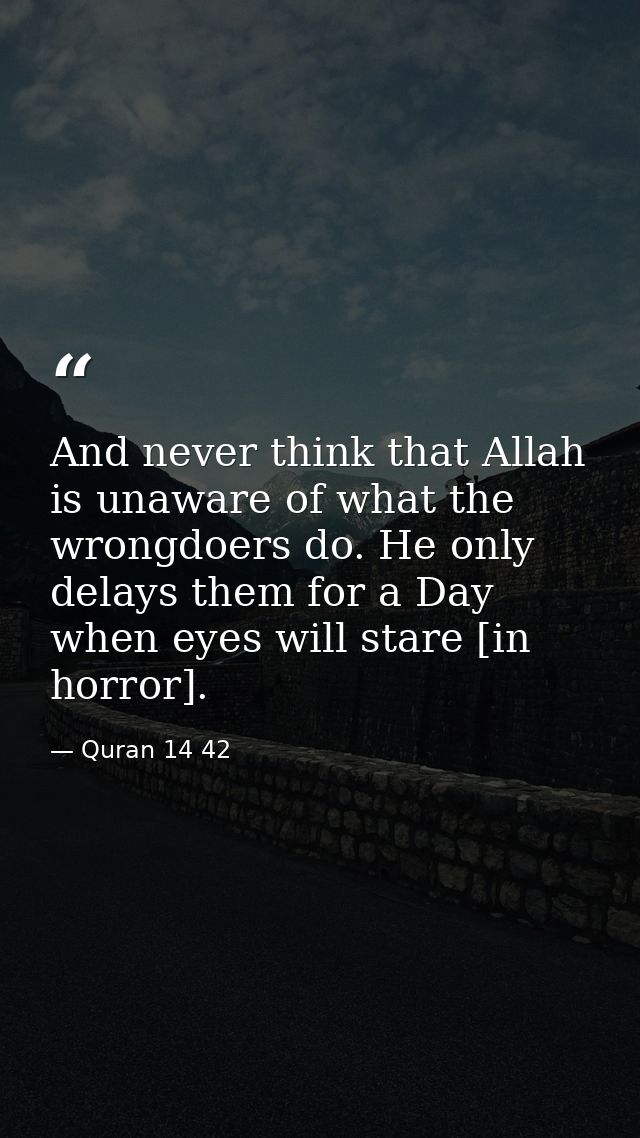 And never think that Allah is unaware of what the wrongdoers do. He only delays them for a Day when eyes will stare [in  — Quran 14 42