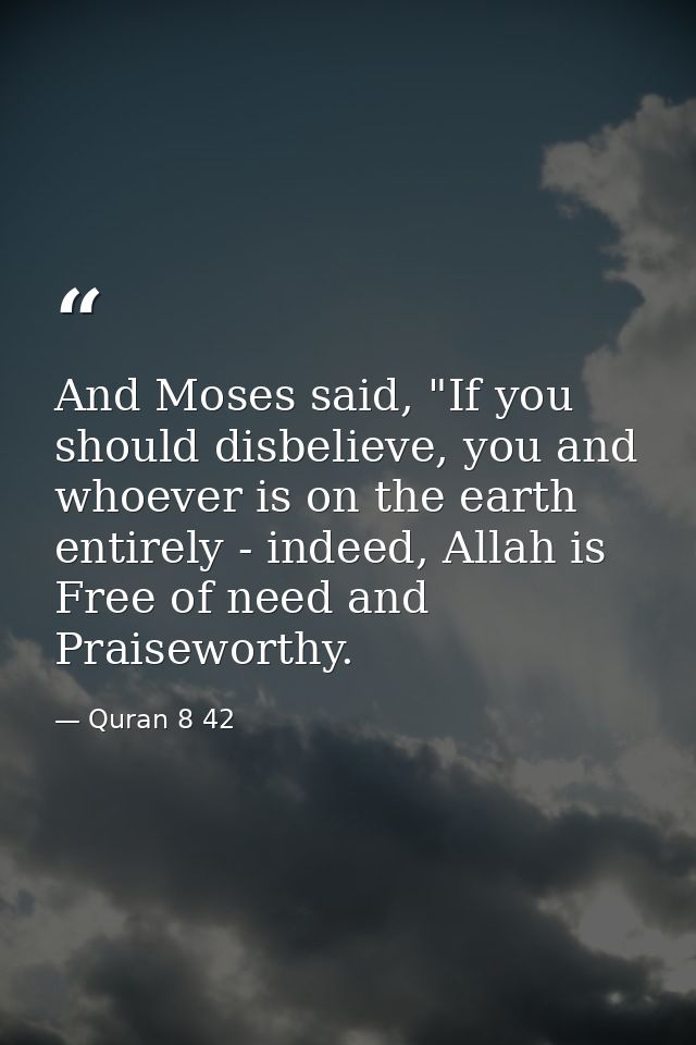 And Moses said, "If you should disbelieve, you and whoever is on the earth entirely - indeed, Allah is Free of need and  — Quran 8 42