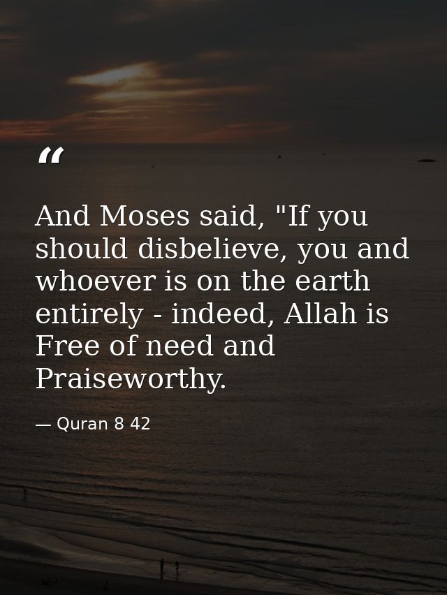 And Moses said, "If you should disbelieve, you and whoever is on the earth entirely - indeed, Allah is Free of need and  — Quran 8 42