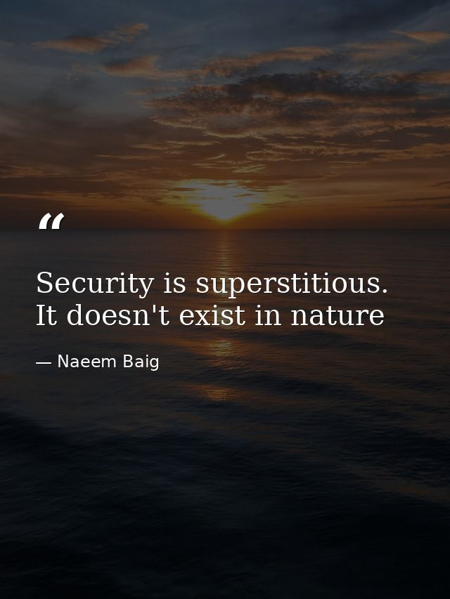 Security is superstitious. It doesn't exist in nature — Naeem Baig