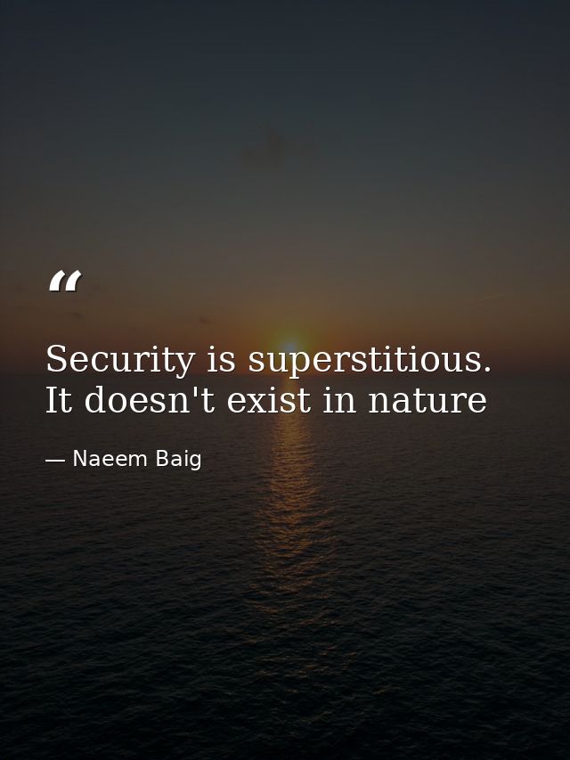 Security is superstitious. It doesn't exist in nature — Naeem Baig
