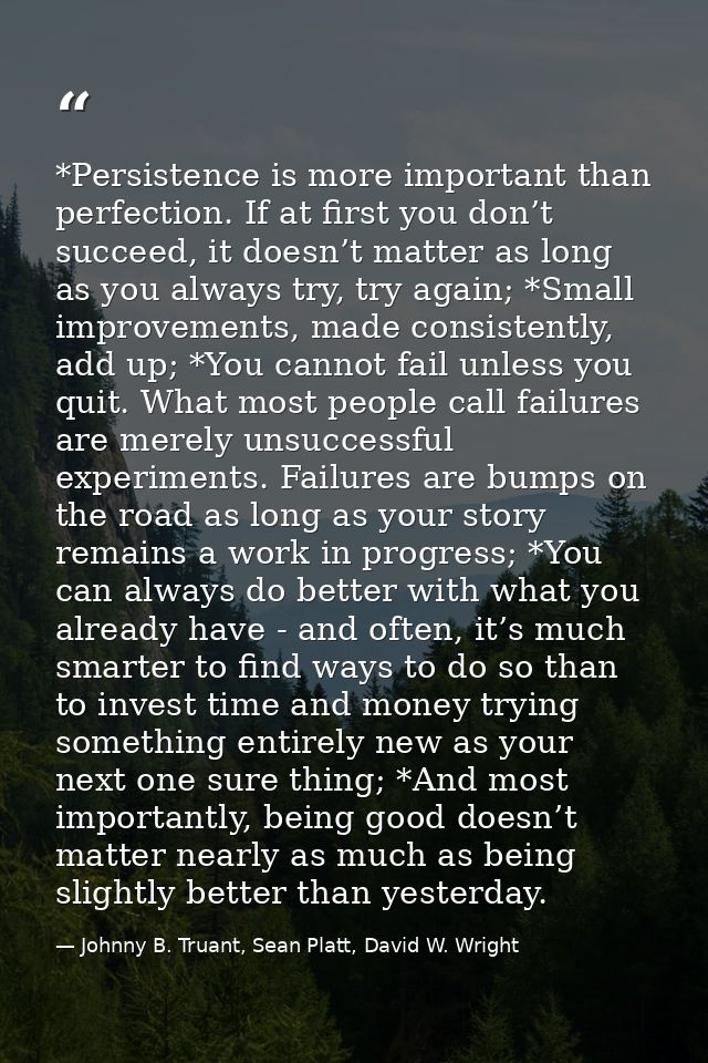 *Persistence is more important than perfection. If at first you don’t succeed, it doesn’t matter as long as you always t — Johnny B. Truant, Sean Platt, David W. Wright