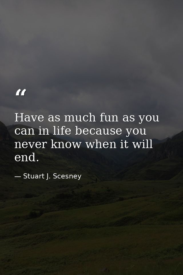 Have as much fun as you can in life because you never know when it will end. — Stuart J. Scesney