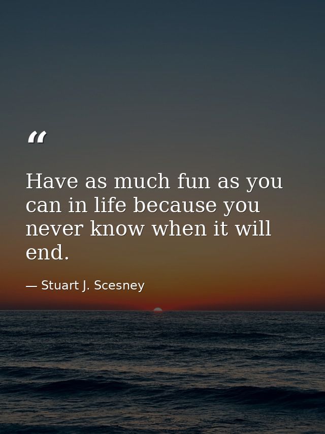 Have as much fun as you can in life because you never know when it will end. — Stuart J. Scesney