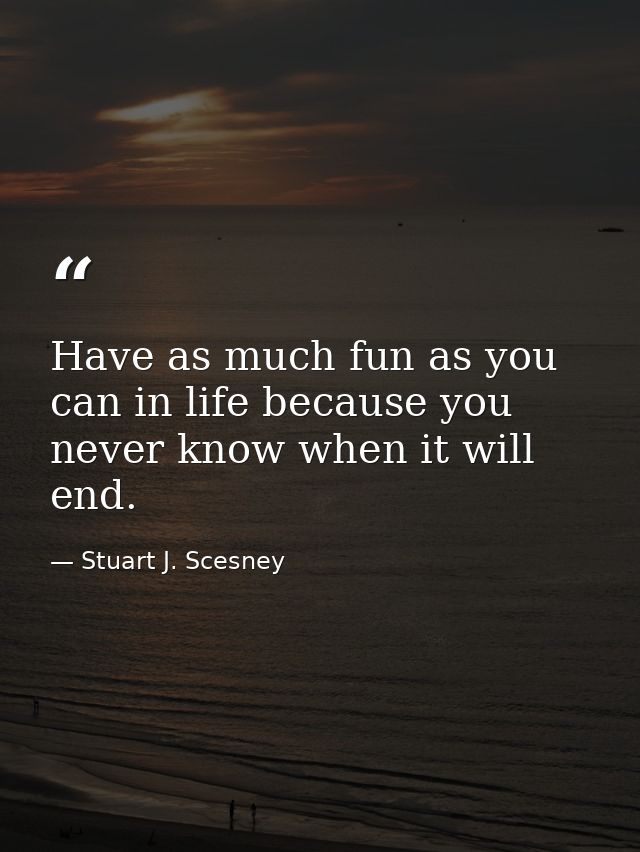 Have as much fun as you can in life because you never know when it will end. — Stuart J. Scesney