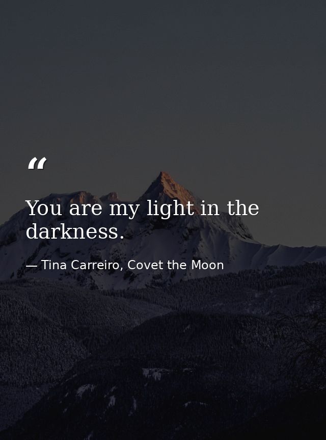 You are my light in the darkness. — Tina Carreiro, Covet the Moon