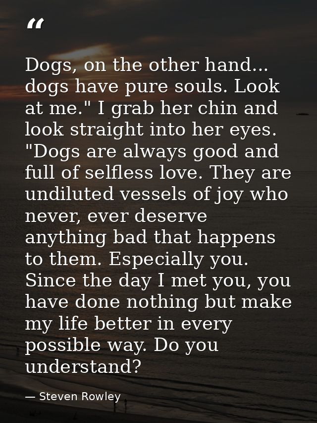 Dogs, on the other hand... dogs have pure souls. Look at me." I grab her chin and look straight into her eyes. "Dogs are — Steven Rowley
