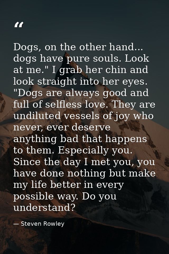 Dogs, on the other hand... dogs have pure souls. Look at me." I grab her chin and look straight into her eyes. "Dogs are — Steven Rowley