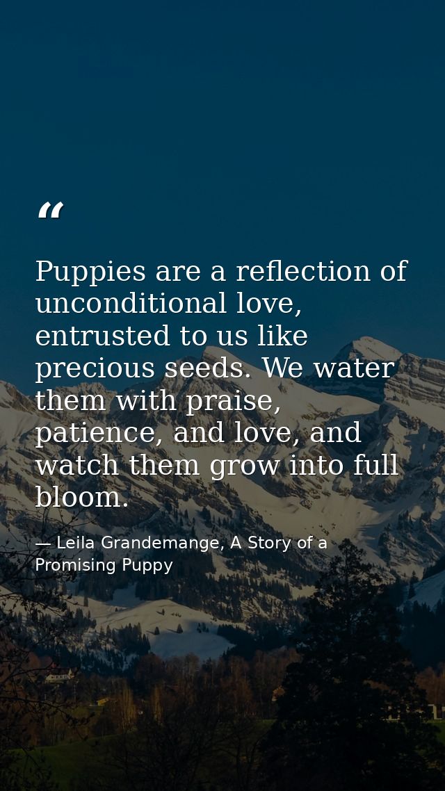 Puppies are a reflection of unconditional love, entrusted to us like precious seeds. We water them with praise, patience — Leila Grandemange, A Story of a Promising Puppy