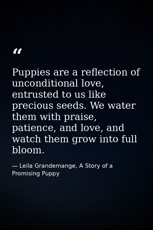 Puppies are a reflection of unconditional love, entrusted to us like precious seeds. We water them with praise, patience — Leila Grandemange, A Story of a Promising Puppy