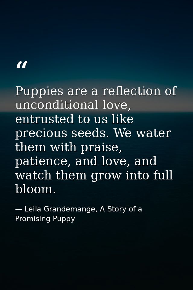 Puppies are a reflection of unconditional love, entrusted to us like precious seeds. We water them with praise, patience — Leila Grandemange, A Story of a Promising Puppy