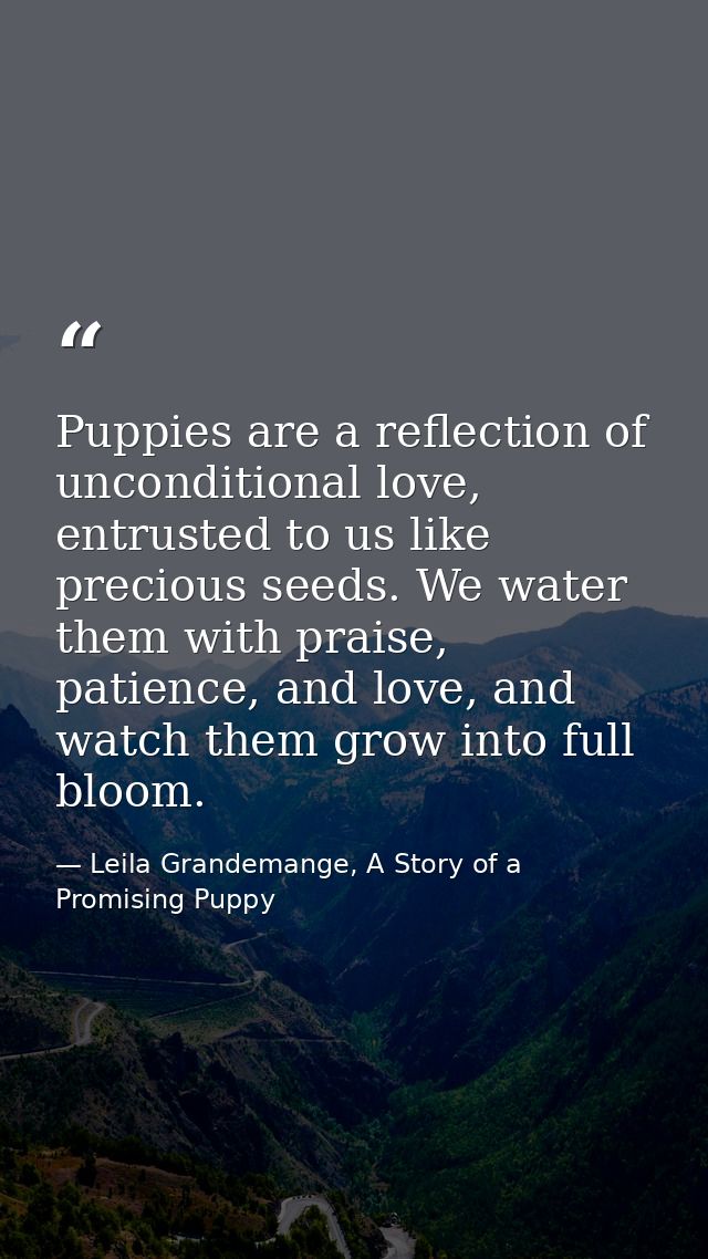 Puppies are a reflection of unconditional love, entrusted to us like precious seeds. We water them with praise, patience — Leila Grandemange, A Story of a Promising Puppy