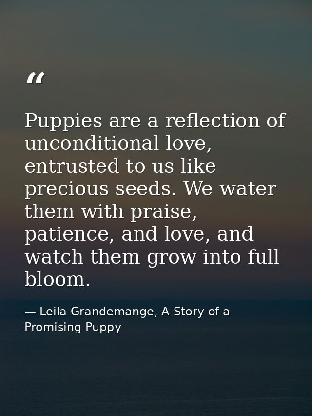Puppies are a reflection of unconditional love, entrusted to us like precious seeds. We water them with praise, patience — Leila Grandemange, A Story of a Promising Puppy