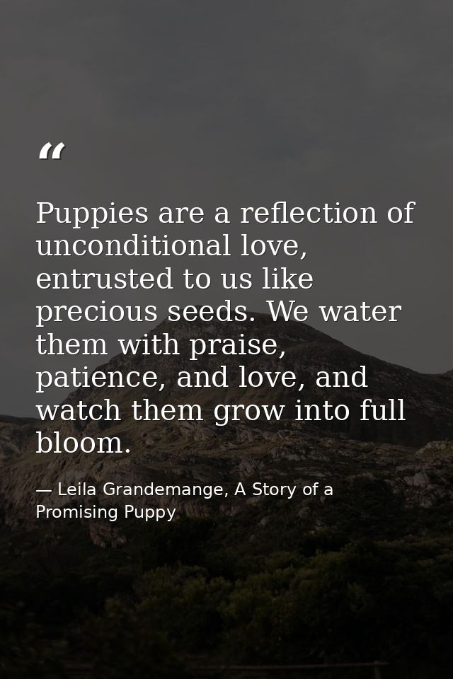 Puppies are a reflection of unconditional love, entrusted to us like precious seeds. We water them with praise, patience — Leila Grandemange, A Story of a Promising Puppy