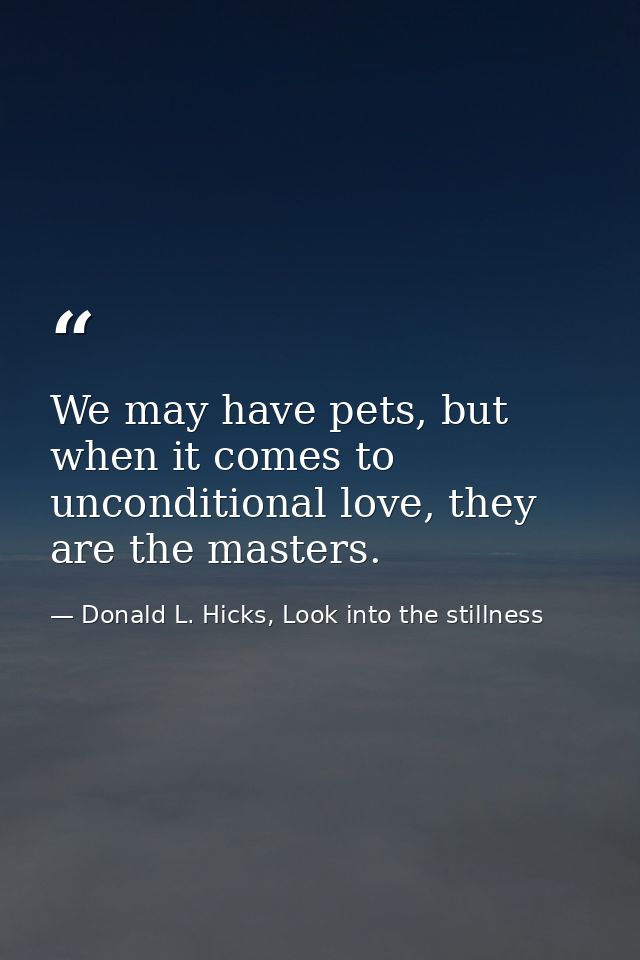 We may have pets, but when it comes to unconditional love, they are the masters. — Donald L. Hicks, Look into the stillness