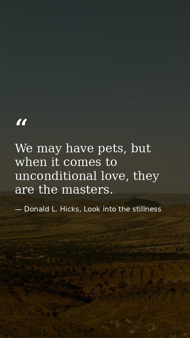 We may have pets, but when it comes to unconditional love, they are the masters. — Donald L. Hicks, Look into the stillness