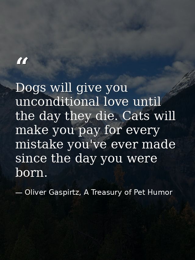 Dogs will give you unconditional love until the day they die. Cats will make you pay for every mistake you've ever made  — Oliver Gaspirtz, A Treasury of Pet Humor