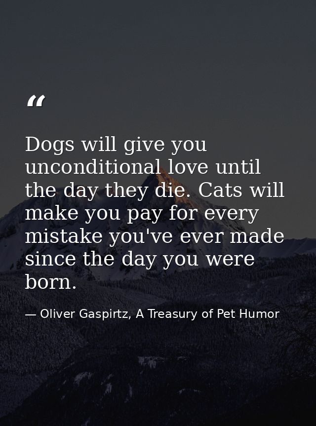 Dogs will give you unconditional love until the day they die. Cats will make you pay for every mistake you've ever made  — Oliver Gaspirtz, A Treasury of Pet Humor