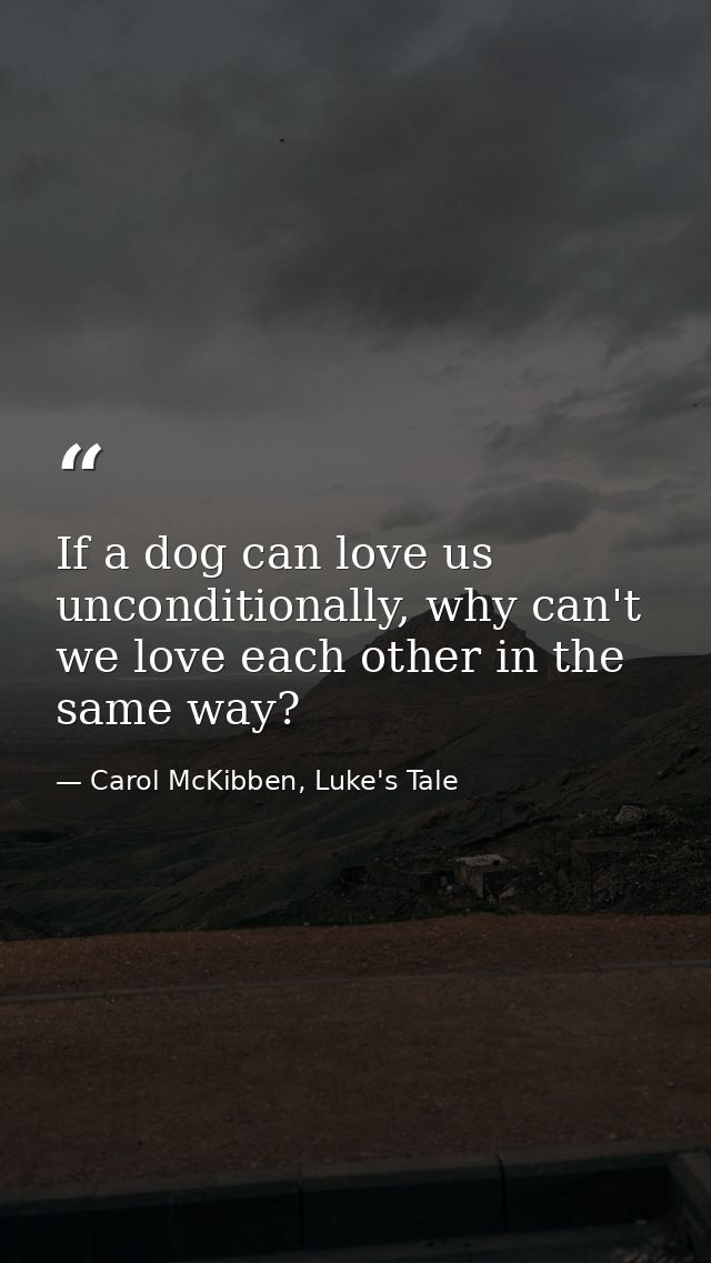 If a dog can love us unconditionally, why can't we love each other in the same way? — Carol McKibben, Luke's Tale