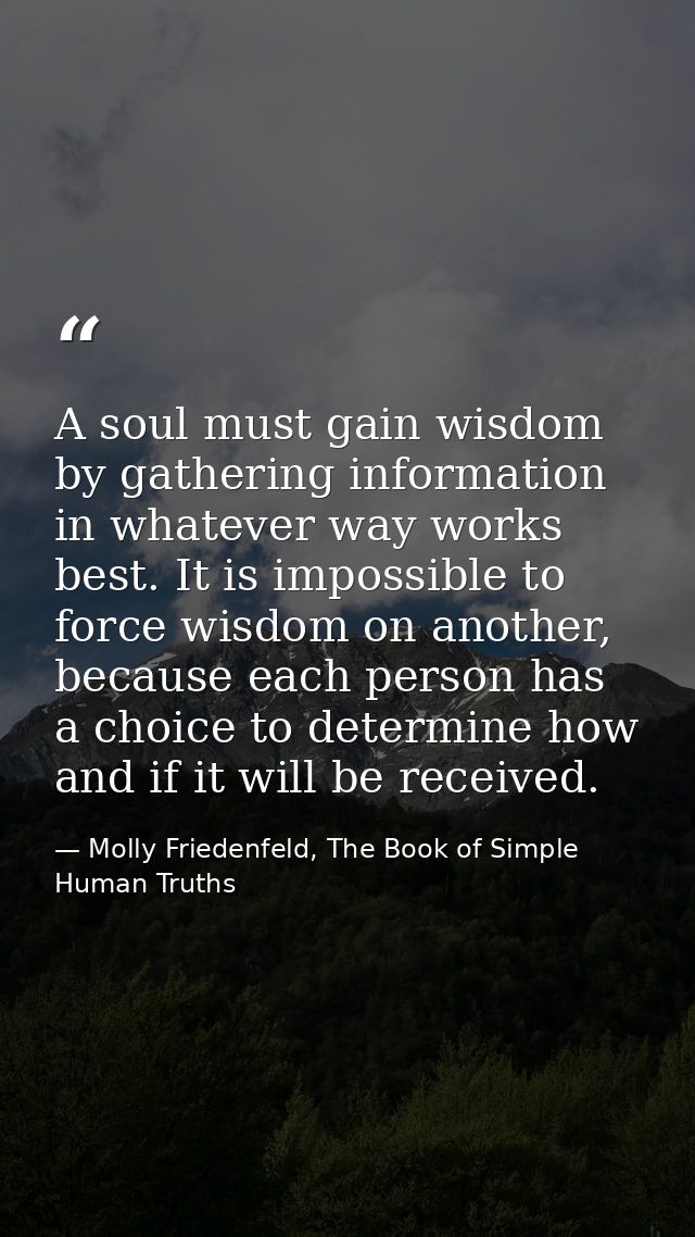 A soul must gain wisdom by gathering information in whatever way works best. It is impossible to force wisdom on another — Molly Friedenfeld, The Book of Simple Human Truths