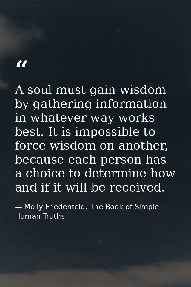 A soul must gain wisdom by gathering information in whatever way works best. It is impossible to force wisdom on another — Molly Friedenfeld, The Book of Simple Human Truths