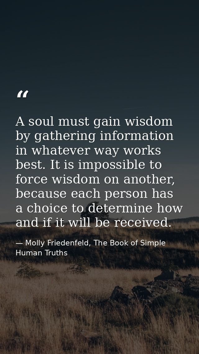A soul must gain wisdom by gathering information in whatever way works best. It is impossible to force wisdom on another — Molly Friedenfeld, The Book of Simple Human Truths