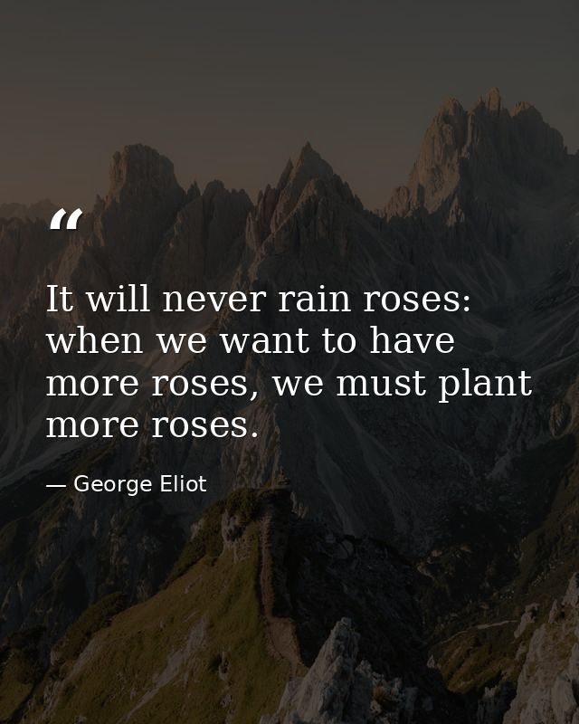 It will never rain roses: when we want to have more roses, we must plant more roses. — George Eliot