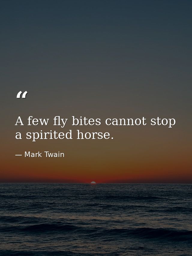 A few fly bites cannot stop a spirited horse. — Mark Twain