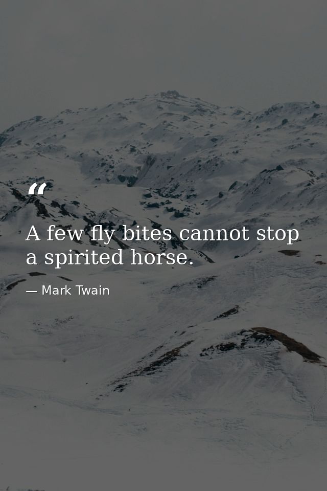 A few fly bites cannot stop a spirited horse. — Mark Twain