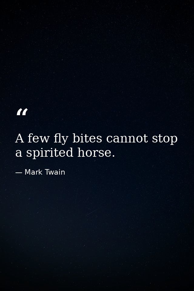 A few fly bites cannot stop a spirited horse. — Mark Twain
