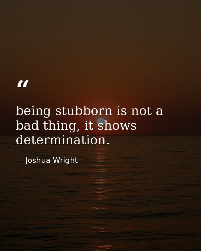 being stubborn is not a bad thing, it shows determination. — Joshua Wright
