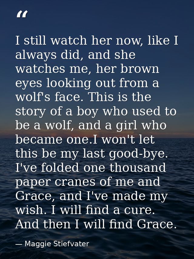 I still watch her now, like I always did, and she watches me, her brown eyes looking out from a wolf's face. This is the — Maggie Stiefvater