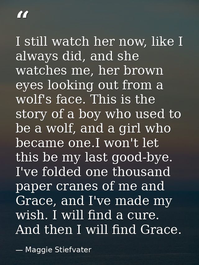 I still watch her now, like I always did, and she watches me, her brown eyes looking out from a wolf's face. This is the — Maggie Stiefvater