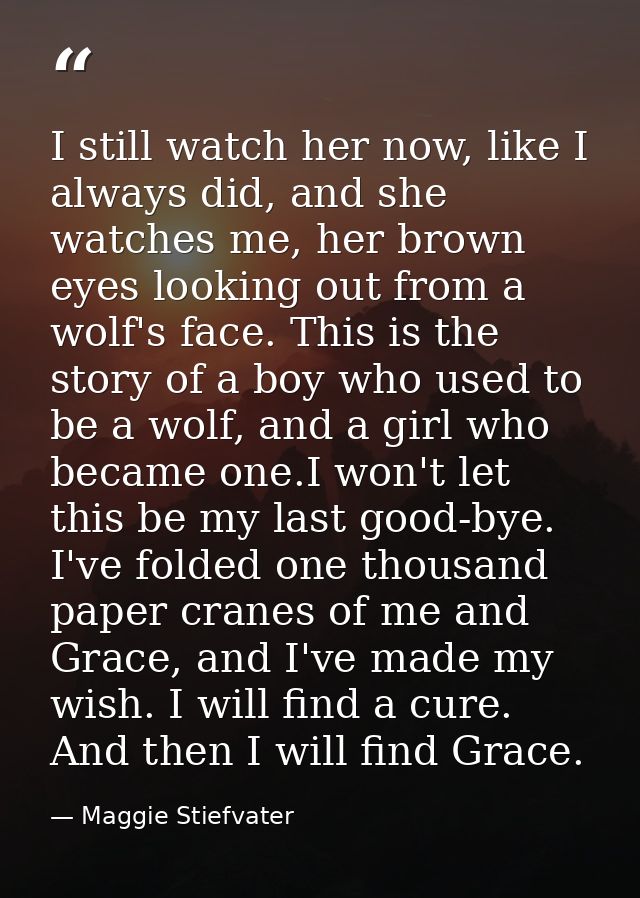 I still watch her now, like I always did, and she watches me, her brown eyes looking out from a wolf's face. This is the — Maggie Stiefvater
