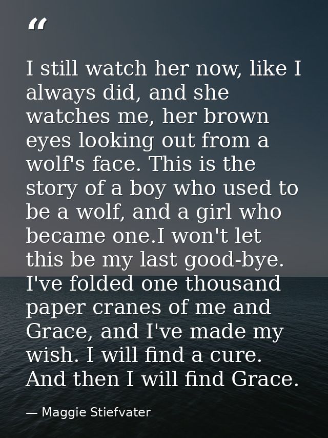I still watch her now, like I always did, and she watches me, her brown eyes looking out from a wolf's face. This is the — Maggie Stiefvater