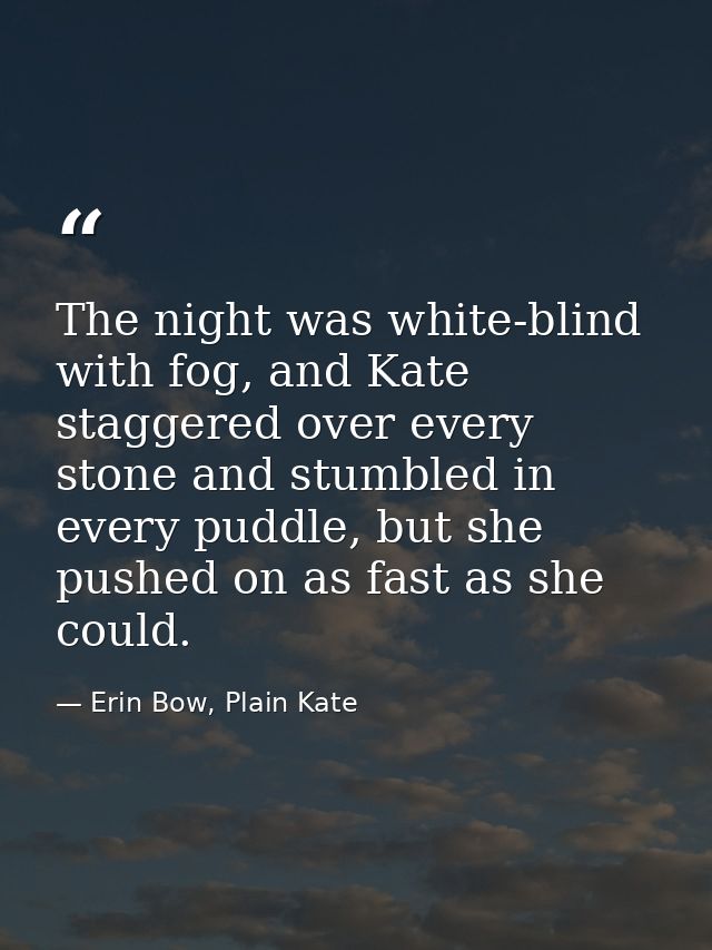 The night was white-blind with fog, and Kate staggered over every stone and stumbled in every puddle, but she pushed on  — Erin Bow, Plain Kate