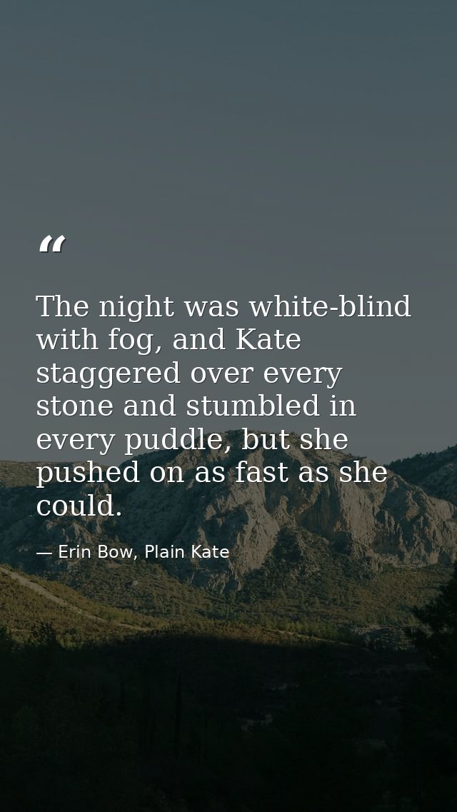 The night was white-blind with fog, and Kate staggered over every stone and stumbled in every puddle, but she pushed on  — Erin Bow, Plain Kate