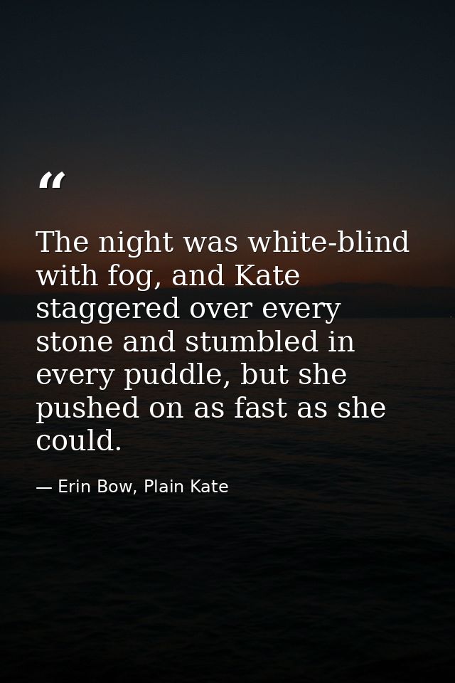 The night was white-blind with fog, and Kate staggered over every stone and stumbled in every puddle, but she pushed on  — Erin Bow, Plain Kate