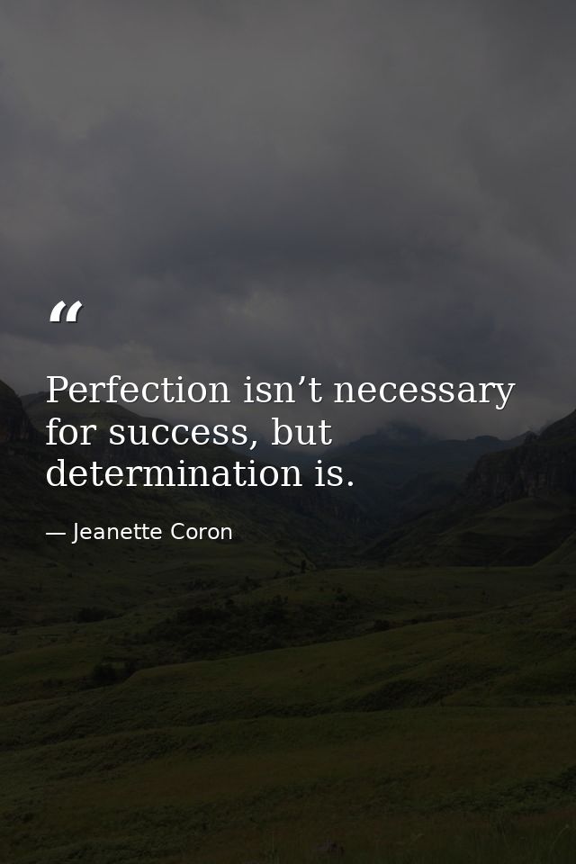 Perfection isn’t necessary for success, but determination is. — Jeanette Coron