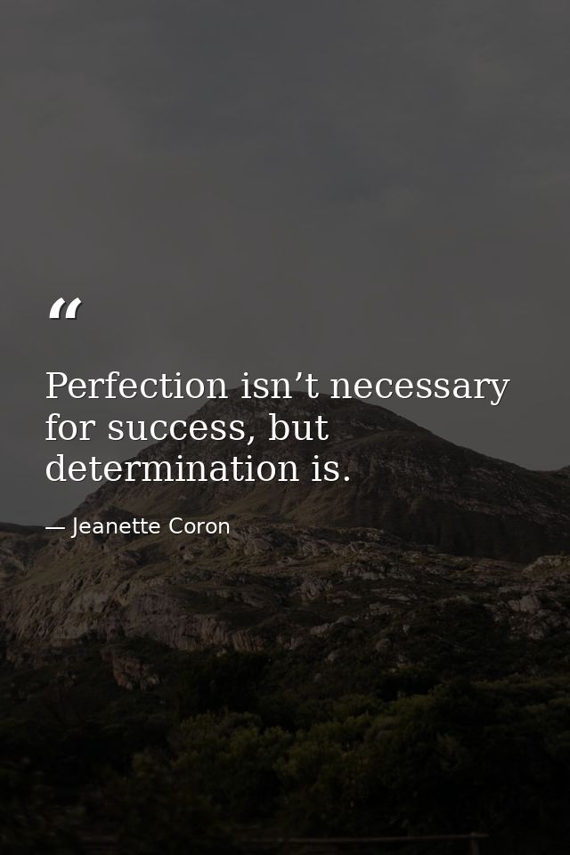 Perfection isn’t necessary for success, but determination is. — Jeanette Coron