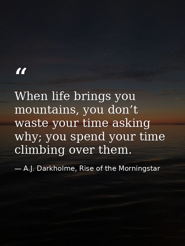 When life brings you mountains, you don’t waste your time asking why; you spend your time climbing over them. — A.J. Darkholme, Rise of the Morningstar